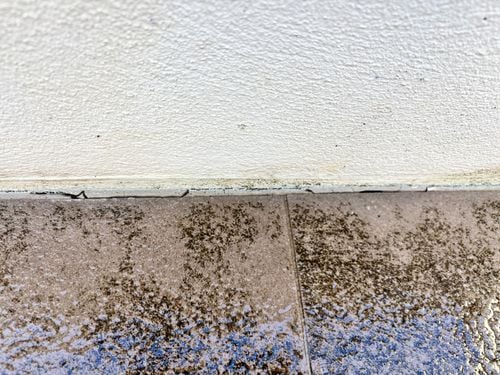 IMG_2786 2.jpg IMG_2786 2.jpg