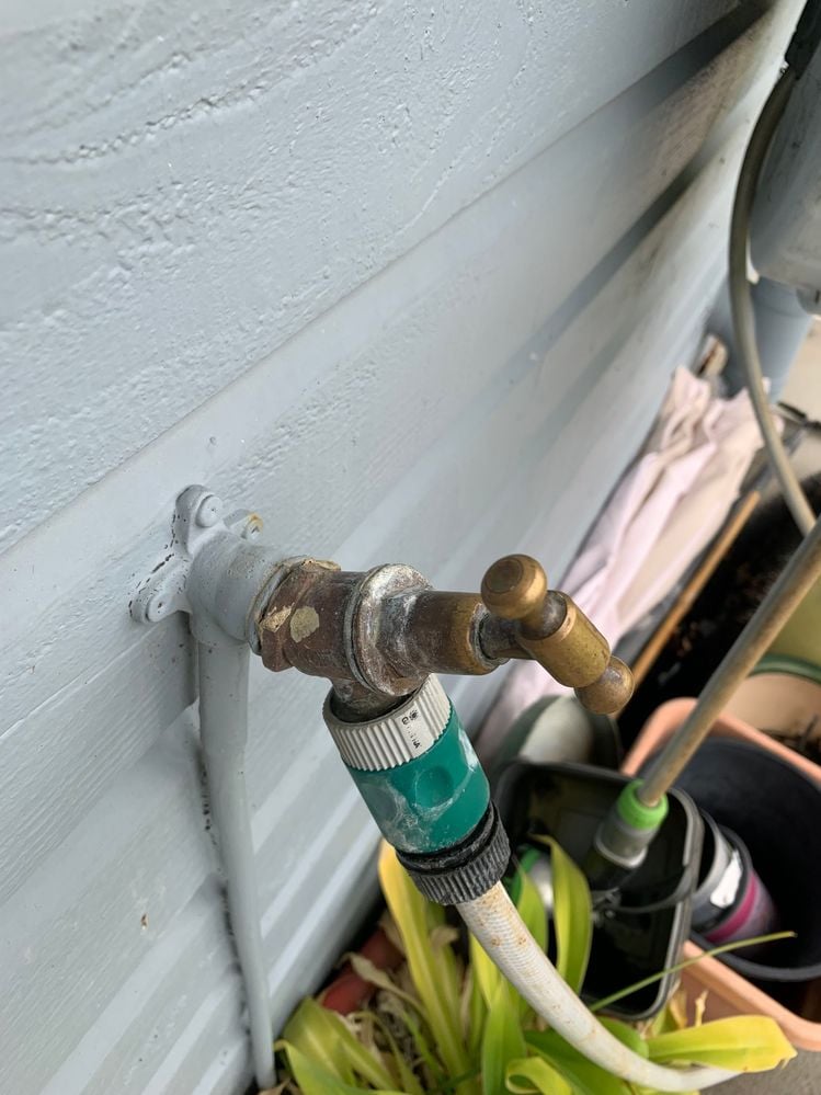 IMG_1835.jpeg IMG_1835.jpeg