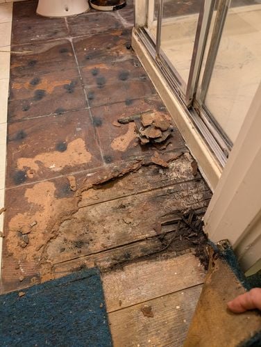 1000047367.jpg 1000047367.jpg