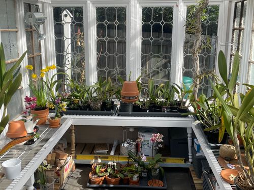 2329FFF4-EE59-4266-9CAF-813DBA49AEFC.jpeg 2329FFF4-EE59-4266-9CAF-813DBA49AEFC.jpeg