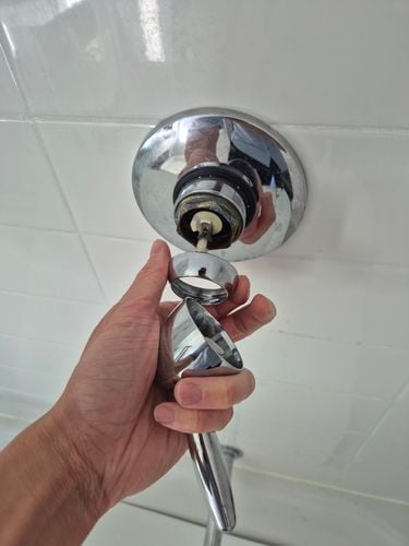 1000020502.jpg 1000020502.jpg