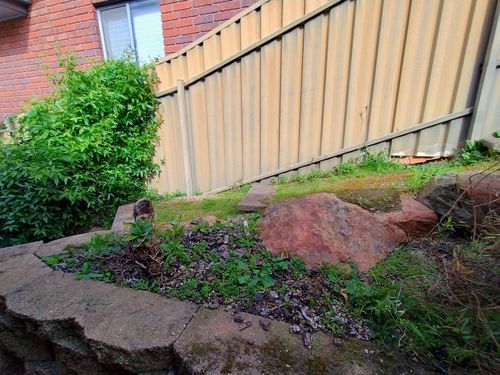 1000036796.jpg 1000036796.jpg