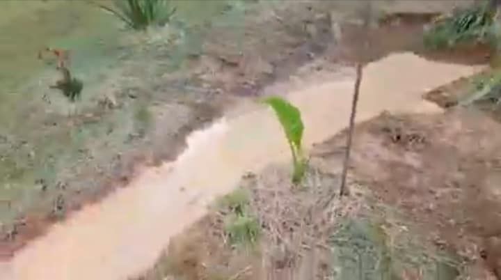 335686674_981740306534856_2835326392439576038_n.jpg 335686674_981740306534856_2835326392439576038_n.jpg