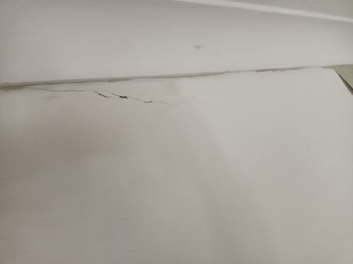 IMG20220309072438.jpg IMG20220309072438.jpg