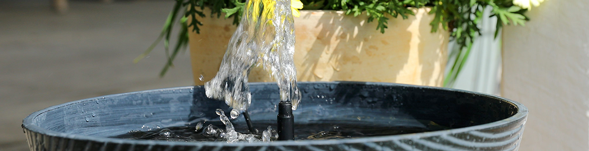 Potpond.png Potpond.png