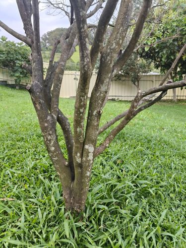 1000003582.jpg 1000003582.jpg