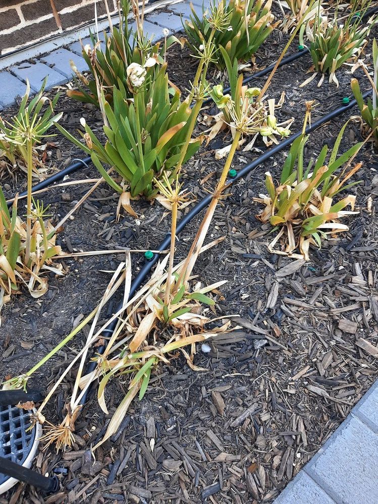 20220130_163255.jpg 20220130_163255.jpg