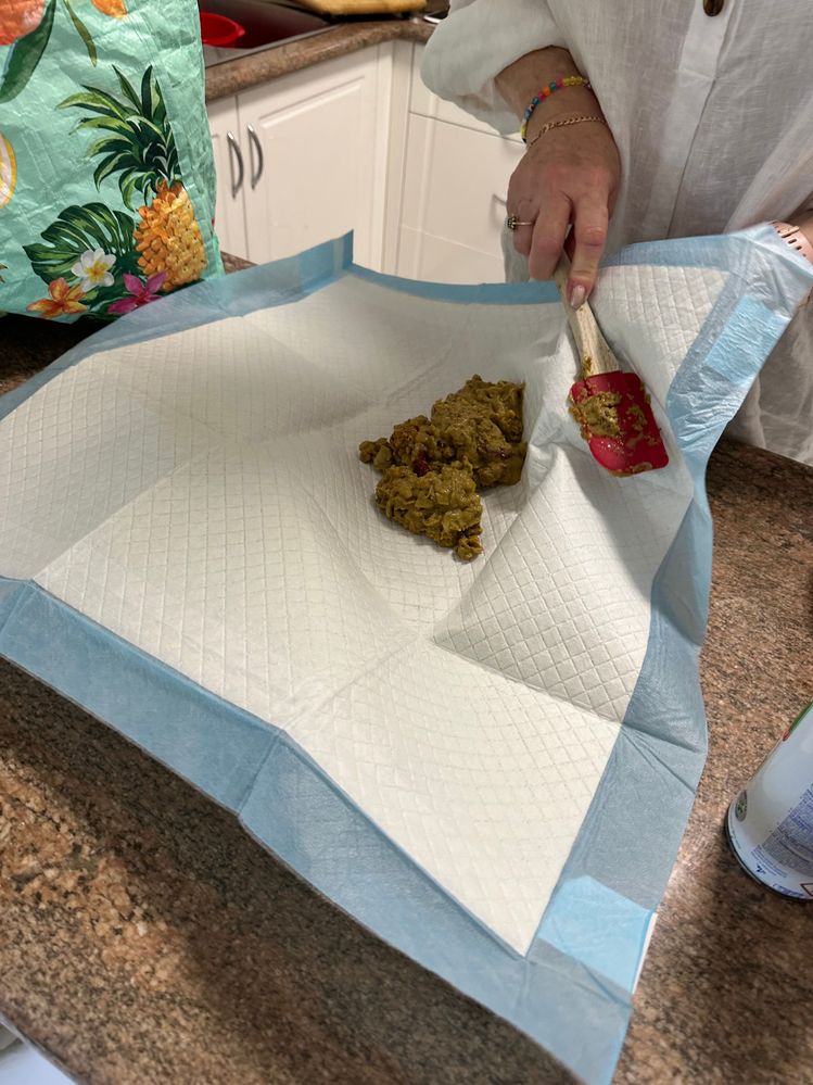 Food Scraps.jpg Food Scraps.jpg