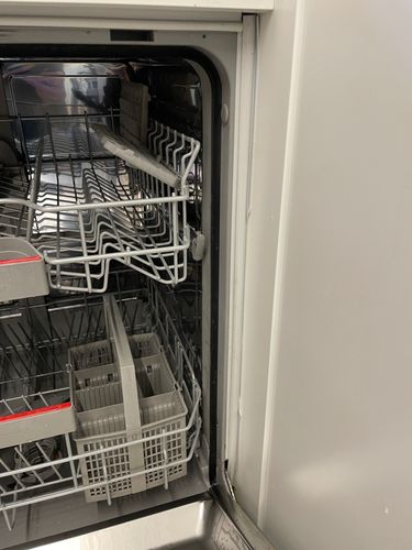 IMG_5181.jpeg IMG_5181.jpeg