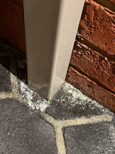 IMG_8438.jpeg IMG_8438.jpeg