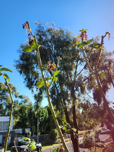 1000039715.jpg 1000039715.jpg