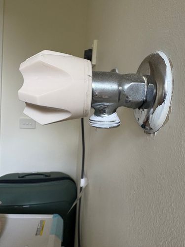 IMG_5923.jpeg IMG_5923.jpeg