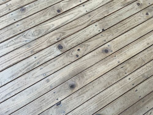 6D3ED25F-83E7-492D-BA6E-10412DD95373.jpeg 6D3ED25F-83E7-492D-BA6E-10412DD95373.jpeg