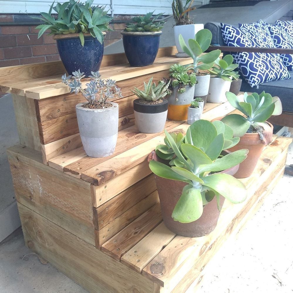 Complete with Plants.jpg Complete with Plants.jpg