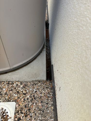 IMG_6876.jpeg IMG_6876.jpeg