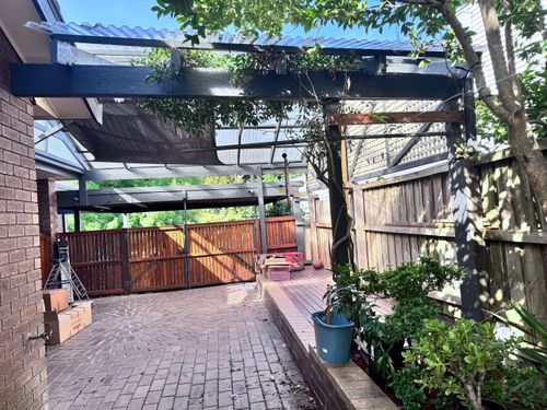 IMG_0916.jpeg IMG_0916.jpeg