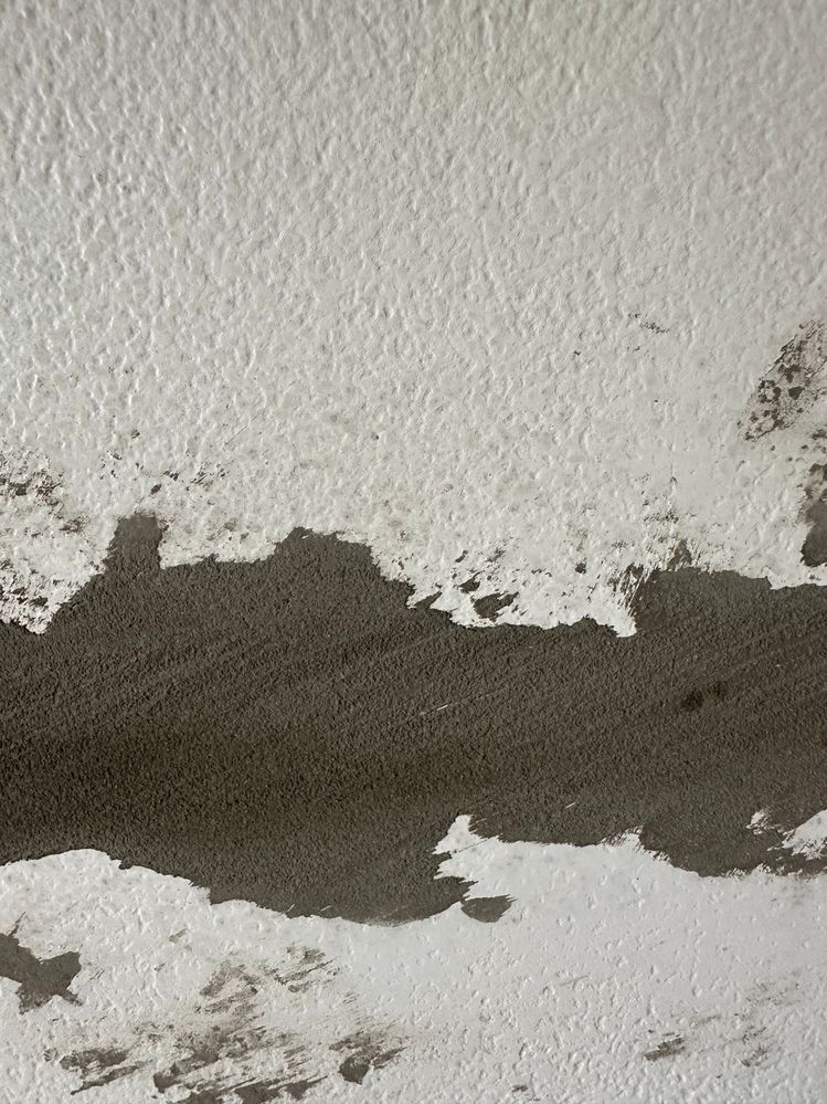 IMG_9497.jpeg IMG_9497.jpeg