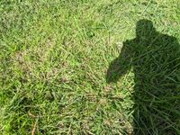 MVIMG_20200308_102840.jpg MVIMG_20200308_102840.jpg