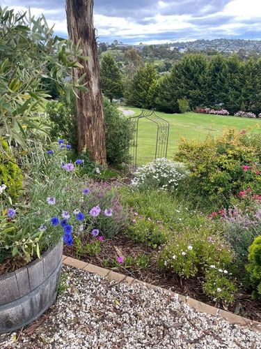 7FBB4022-5FF5-4CD0-948D-881C0A2E1030.jpeg 7FBB4022-5FF5-4CD0-948D-881C0A2E1030.jpeg