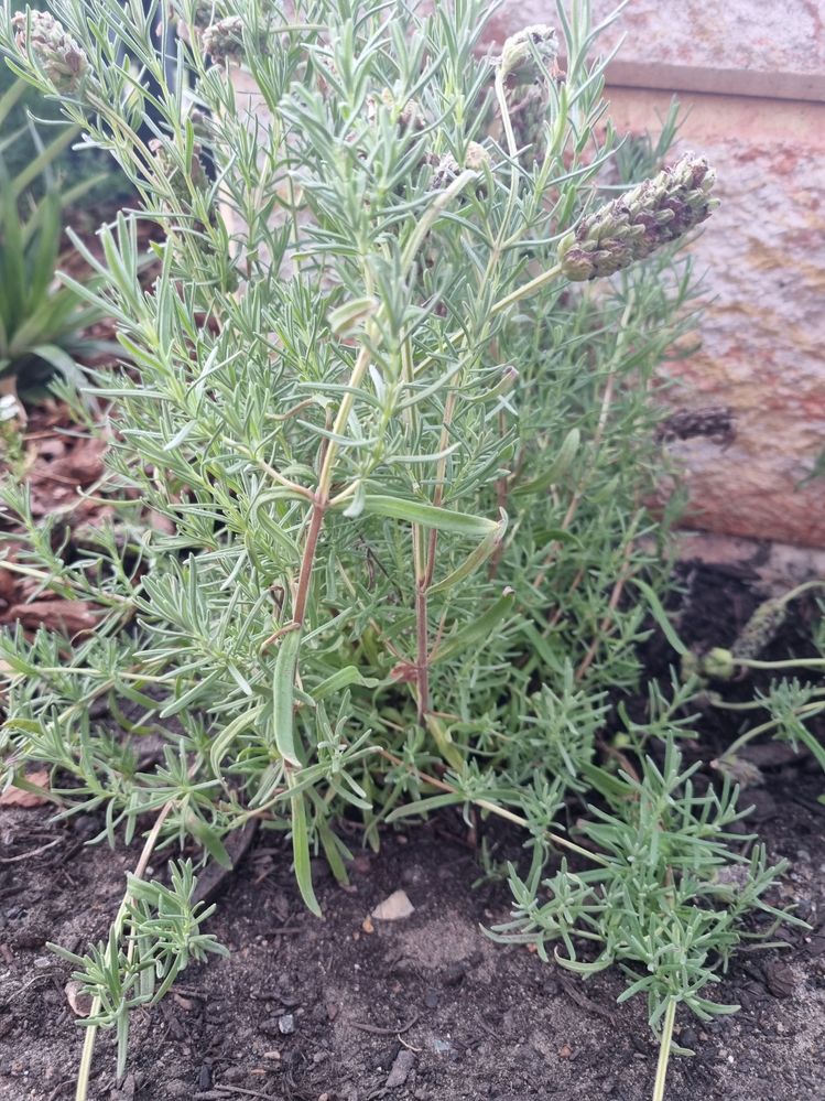 20241108093941.jpg 20241108093941.jpg