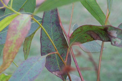 20240223171503_IMG_4284.JPG 20240223171503_IMG_4284.JPG