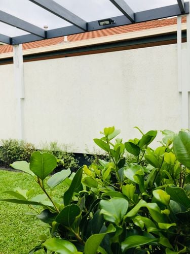 IMG_2507.jpg IMG_2507.jpg