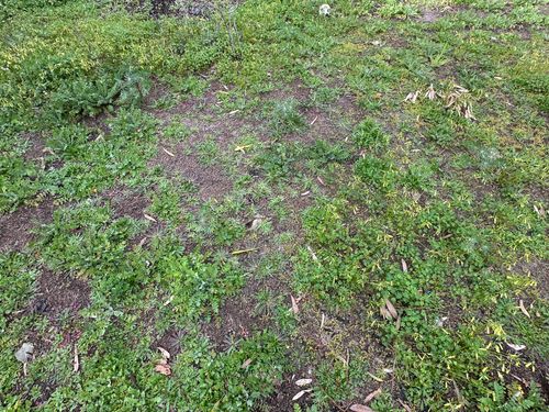 IMG_3584.jpeg IMG_3584.jpeg