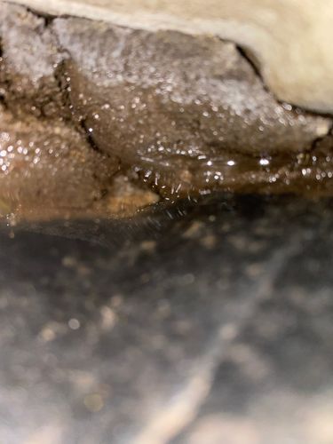 IMG_3289.jpeg IMG_3289.jpeg