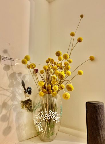 3B56D833-1625-4CD4-BEAA-9EDC79F3C7E7.jpeg 3B56D833-1625-4CD4-BEAA-9EDC79F3C7E7.jpeg