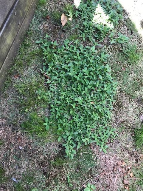 IMG_9655.JPG IMG_9655.JPG