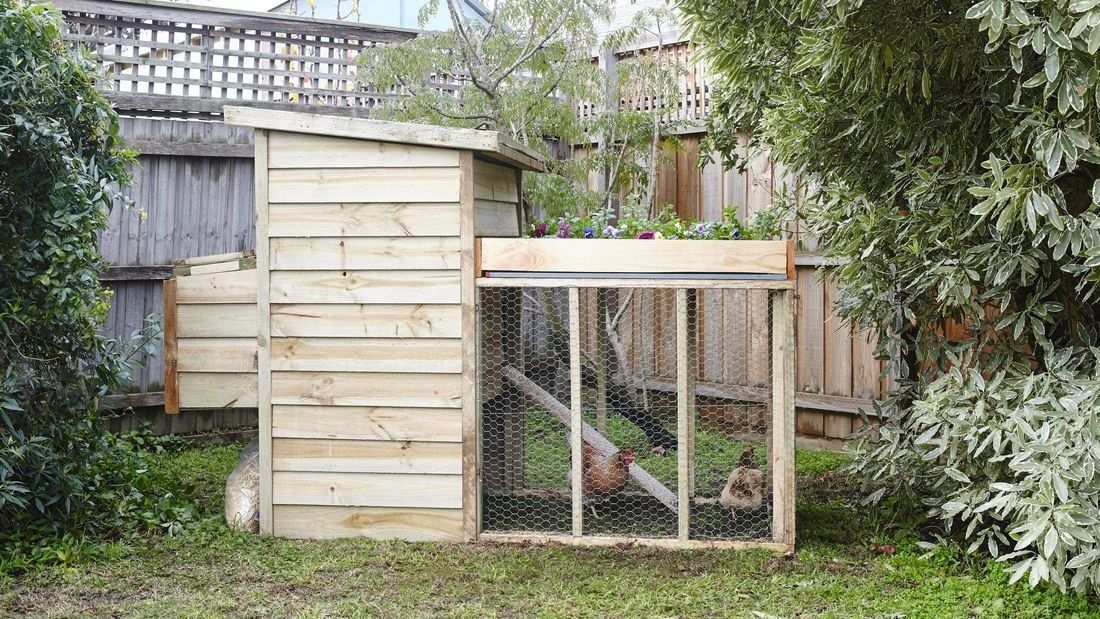 Chicken_Coop_B.jpeg Chicken_Coop_B.jpeg