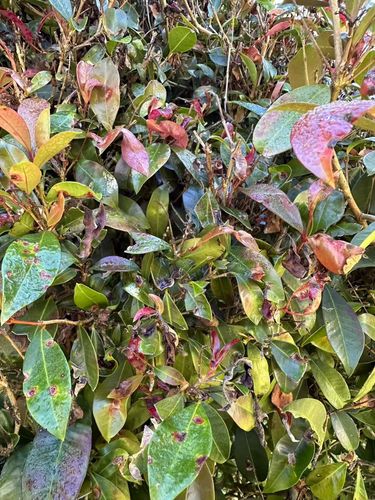 WechatIMG93.jpg WechatIMG93.jpg