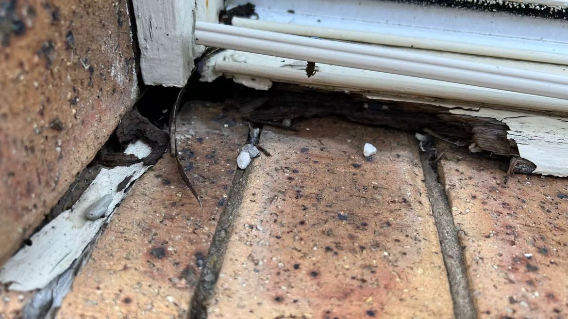 44f86ec0f28ff7dbe0b7d09fcb9378d.jpg 44f86ec0f28ff7dbe0b7d09fcb9378d.jpg