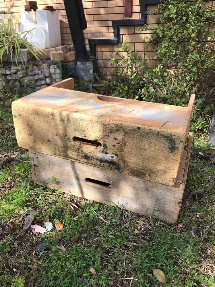 04 20-08-2023.jpg 04 20-08-2023.jpg