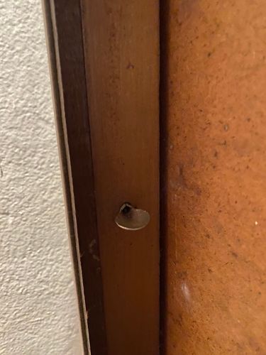 IMG_1372.jpeg IMG_1372.jpeg