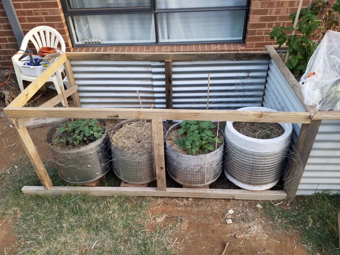 20200427_170812.jpg 20200427_170812.jpg