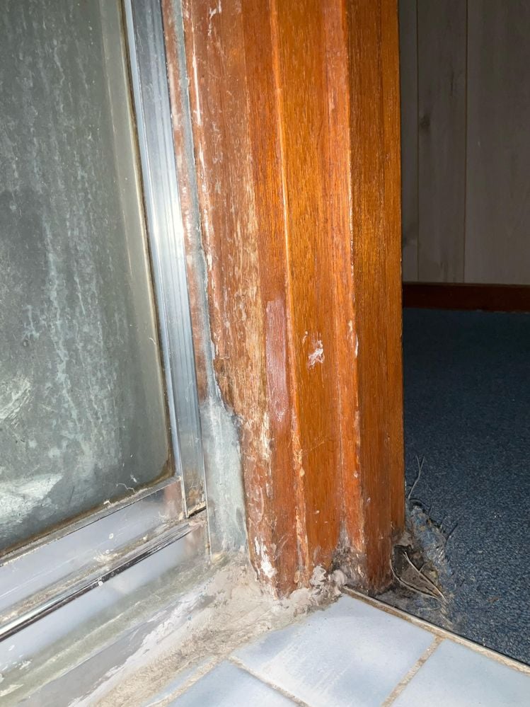 WhatsApp Image 2025-03-08 at 01.22.06.jpeg WhatsApp Image 2025-03-08 at 01.22.06.jpeg