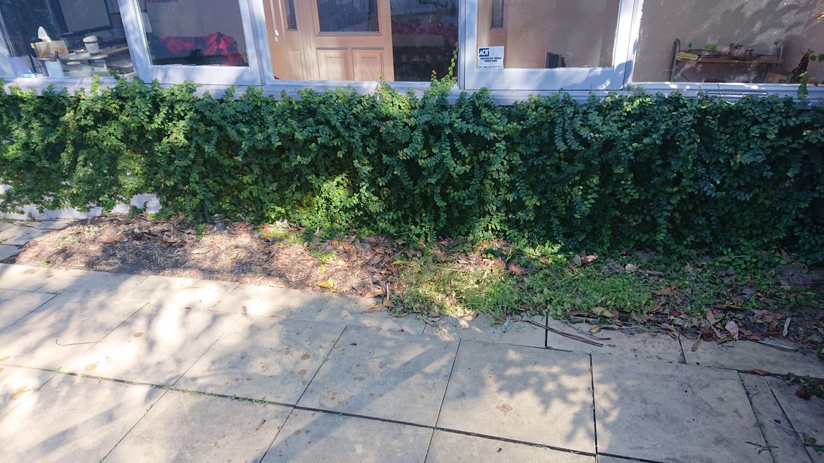 DSC_0384.JPG DSC_0384.JPG