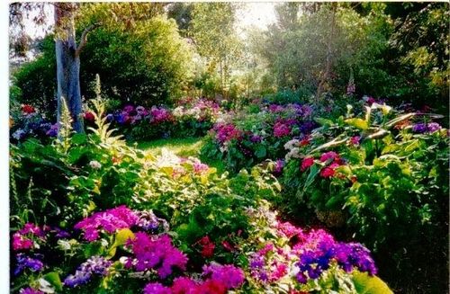 F48AD4E8-6070-4400-9B41-724E11C1D01E.jpeg F48AD4E8-6070-4400-9B41-724E11C1D01E.jpeg