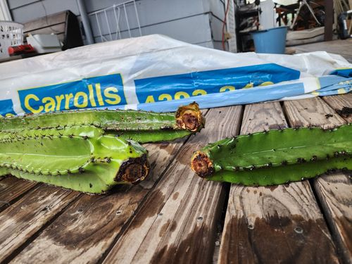 20250427_112210.jpg 20250427_112210.jpg