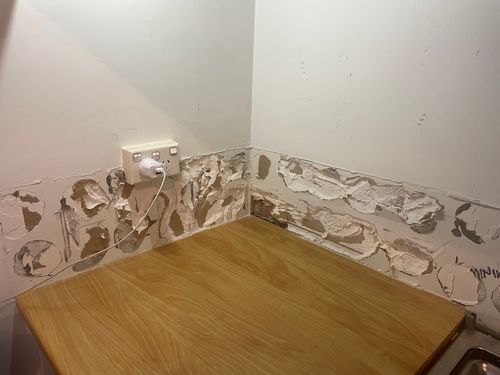 C1E8D808-1D74-4D55-BEA1-1F4A3248A278.jpeg C1E8D808-1D74-4D55-BEA1-1F4A3248A278.jpeg