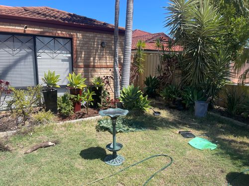 IMG_3320.jpeg IMG_3320.jpeg