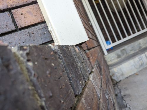 PXL_20230705_005314880.MP.jpg PXL_20230705_005314880.MP.jpg