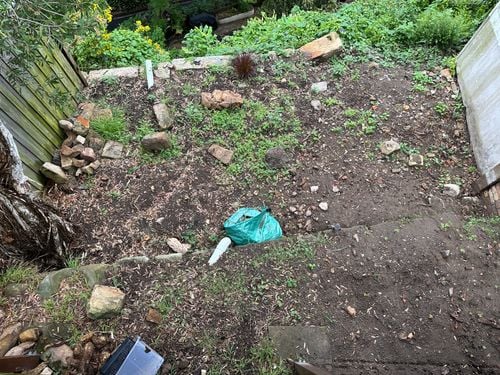 IMG_0582.jpeg IMG_0582.jpeg