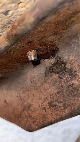 IMG_3441.jpeg IMG_3441.jpeg