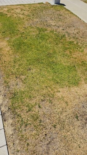 2024-12-3111.10.424555154805174071523.jpg 2024-12-3111.10.424555154805174071523.jpg