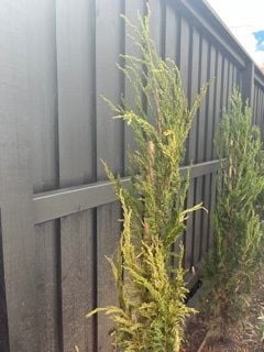 image004.jpg image004.jpg