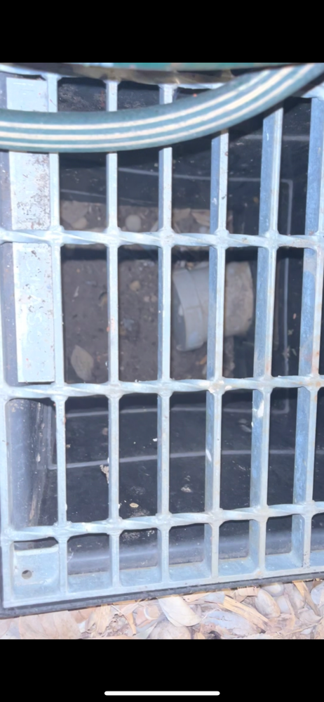 IMG_8627.PNG IMG_8627.PNG