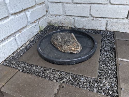 274218321_330681785683066_6156178042964723528_n.jpg 274218321_330681785683066_6156178042964723528_n.jpg