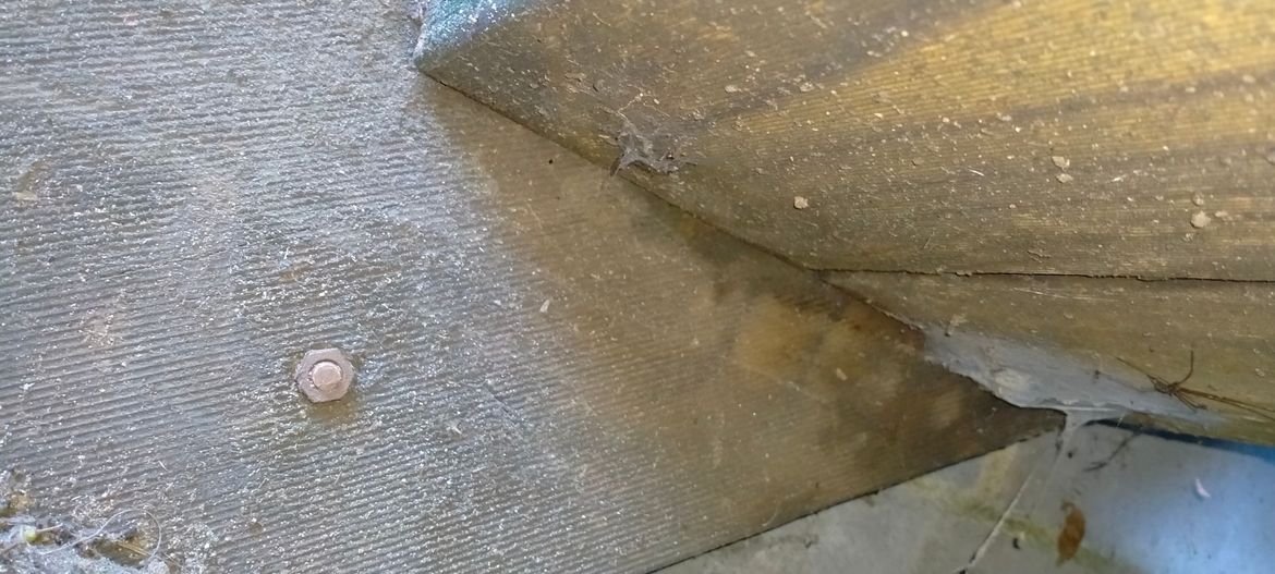 IMG20230501093540.jpg IMG20230501093540.jpg